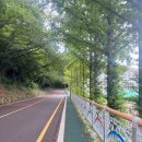 유달로 네이버블로그
