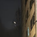 개기 | 🌕 2026 정월대보름 개기월식 후기