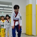 별빛태권도 이미지