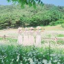 GR(고창군)-[복분자로]-하-5 | 국내소도시여행 4월갈만한곳 봄가족여행추천