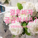 이재두 행정사 이미지