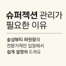 솔샵뷰티