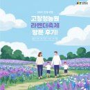 정화농장 | [고창청농원 라벤더 축제 후기] 일상에 지친 마음을 정화시키기 딱 좋은 힐링여행! + 보리나라학원농장...