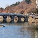 나무테크 이미지