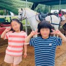 창락제2농로 | 내돈내산 제주 승마 체험 후기 - 신창풍차해안 행복승마 외승 코스