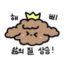 율무네애견 이미지