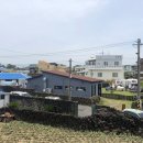 협재 하울 스테이 이미지