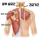 오륙도신경외과의원 이미지