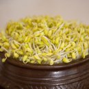 서경화학 이미지