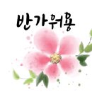 컴퓨터기초&스마트폰활용 이미지