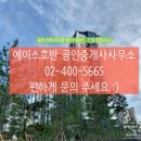 위례에이스공인중개사사무소 이미지