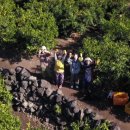 연수민박 이미지