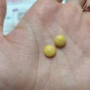 WR(인천광역시 서구)-[청마로]-하-6 | 대장내시경 후기 수클리어산 복용법 가루약 먹는법 자체는 쉽지