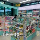 경동로(용상동) | [안동] 용상동 신규오픈 다이소 방문후기 +주차정보