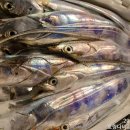 고흥-6호 이미지