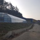 콘테이너목장 이미지