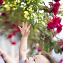 오월N장미 이미지