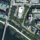 개나리목장 | 춘천 벚꽃길 개나리 만개 우두동 수변 산책로 주차장