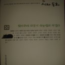 고양이속눈썹