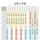 클로버 애견미용 이미지