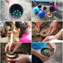 세동농장 이미지