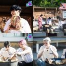 밥스타 일간스포츠
