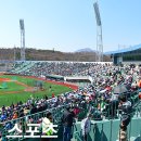 문수야구장 이미지