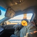 거북바위펜션 | 삼척 해안산책로 산책하기 좋은 초곡용굴 촛대바위길