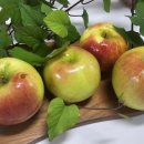 달산농장 이미지