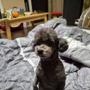 포유 행정사 사무소 이미지