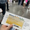 성산포사랑 | 제주 우도 성산포~하우목동포구 우도사랑 유람선 돌고래 출몰