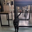 짱실내바다낚시터 이미지