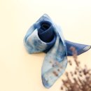 아그리나클래식 이미지