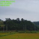 약산면-1 이미지