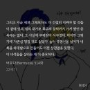 레오가ㅈㅉ존나대장이라고 버뮤다 514 이미지