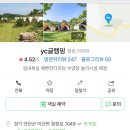 YC글램핑 이미지