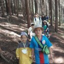 한려초교병설유치원 이미지