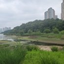 광교7080라이브 네이버블로그