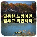 [공부자극] 달콤한 느낌이면,멈추고 외면하라!