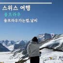 스위스 융프라우 가는 법, 날씨, 꿀팁 후기