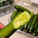 우성농장 이미지