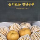 정직함이 만든 달콤함 슬기로운 청년농부 배 선물세트 후기