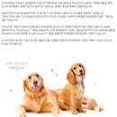 주식회사 우리가제약 이미지