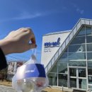 글라스 스토리 제주점 | 협재 카페 물 | 제주 용암해수로 만든 물젤리, 제주 디저트 선물 추천