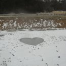 칠성초등학교 이미지