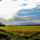 농부의딸 이미지