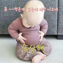 컴벳다이어트짐 이미지