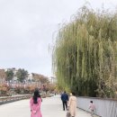 미셸광교