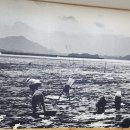 벌교꼬막정식 상주점