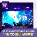 기장군농업기술센터 | 기장 장안사 숲에서 만난 반딧불이의 빛나는 여름밤‘기장 반딧불이 생태체험’